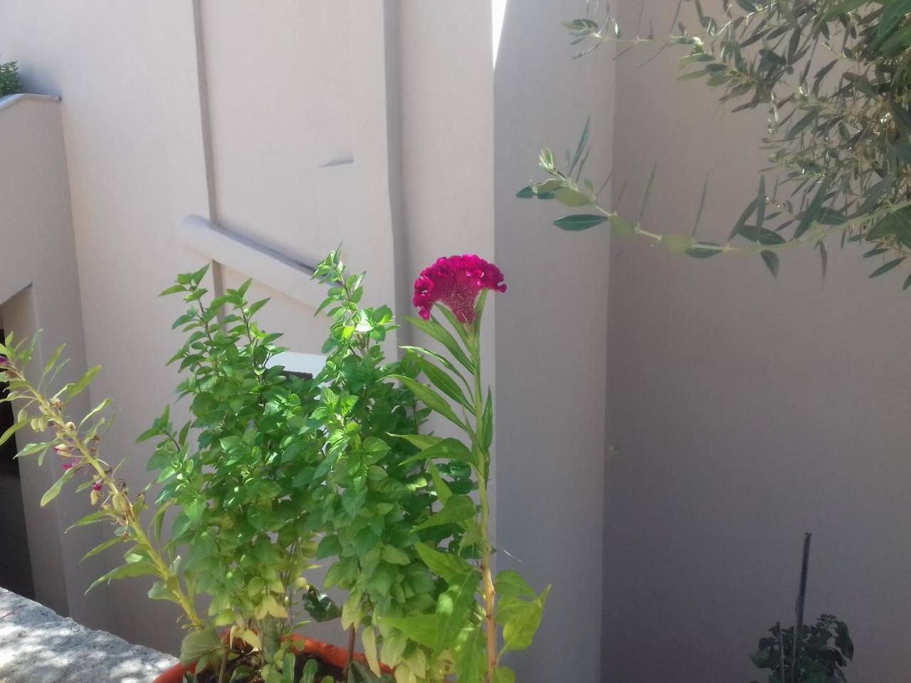 SarandëShehu'S House别墅 外观 照片